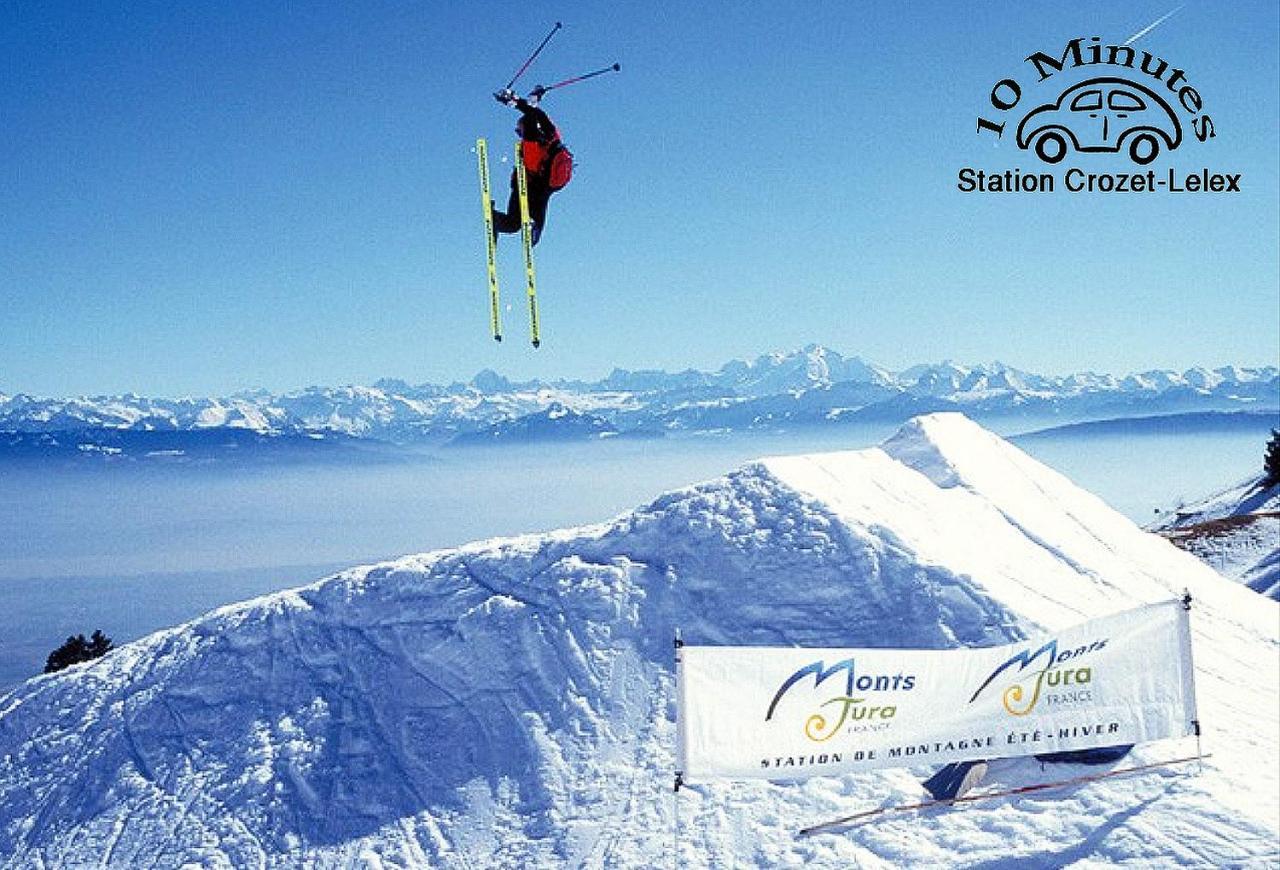 Location Chambres Le Panorama - Aeroport Geneve - Pays De Gex Chevry  Eksteriør billede